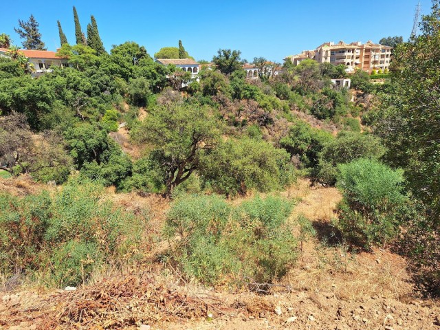  Plot in Elviria