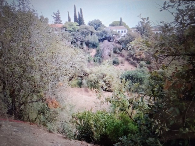  Plot in Elviria