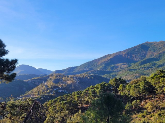 Perceel, La Zagaleta, R4570105