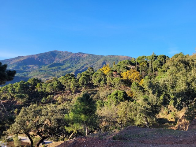 Perceel, La Zagaleta, R4570105