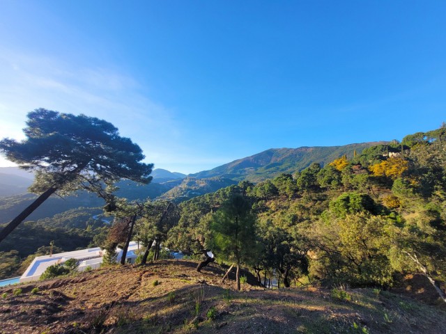 Perceel, La Zagaleta, R4570105