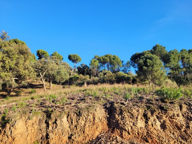  Tomt i La Zagaleta