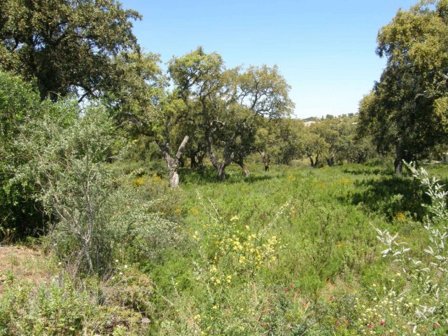 Grundstück, San Roque Club, R4788133
