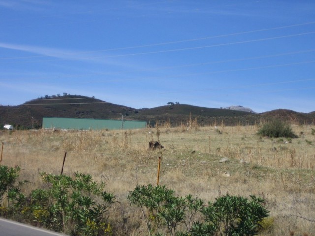  Grundstück in Casares