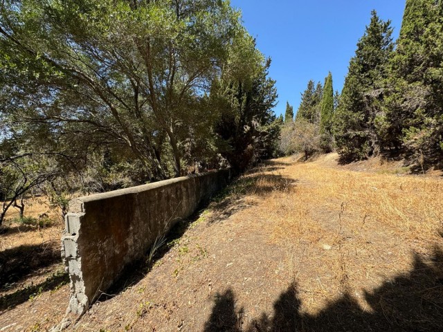 Parcelle, San Roque, R4821094