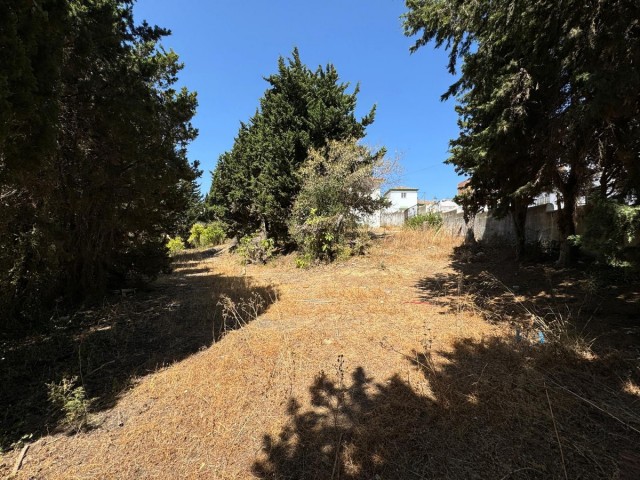 Parcelle, San Roque, R4821094