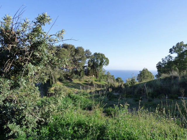 Plot, Benalmadena Pueblo, DVG-RSMP0009