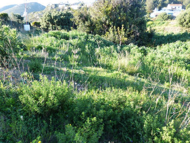  Plot in Benalmadena Pueblo