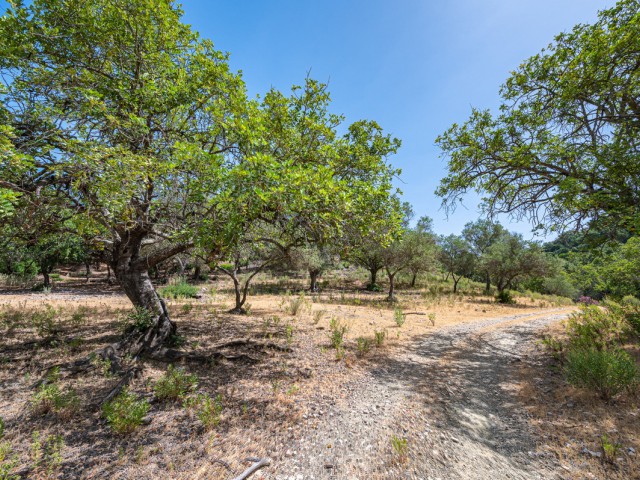 Perceel, La Zagaleta, R4835560