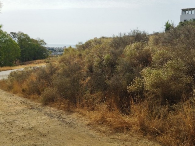 Tomt, Campo Mijas, R4837681