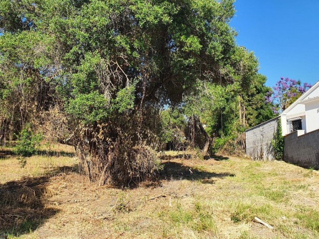  Grundstück in San Pedro de Alcántara