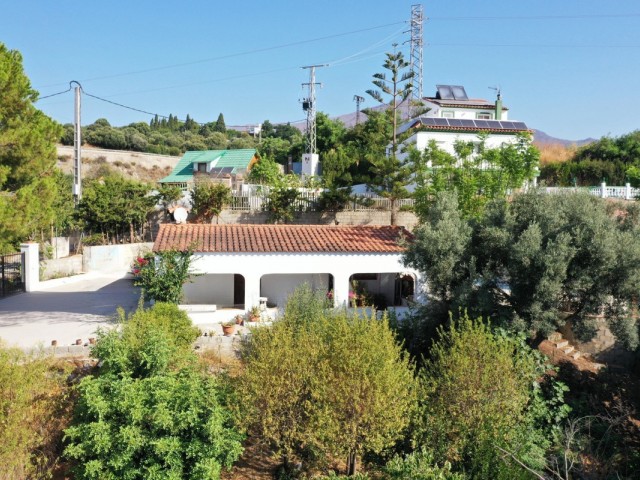 Kommersiell i Estepona