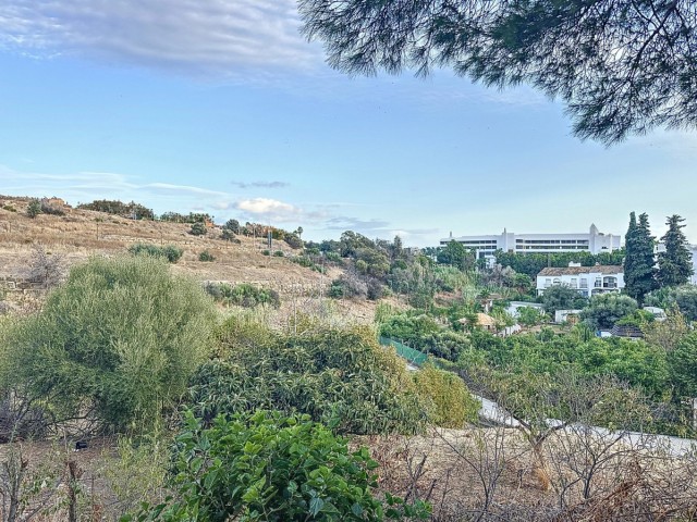 Kommersiell i Estepona