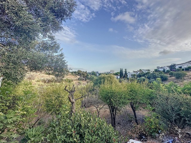 Kommersiell i Estepona