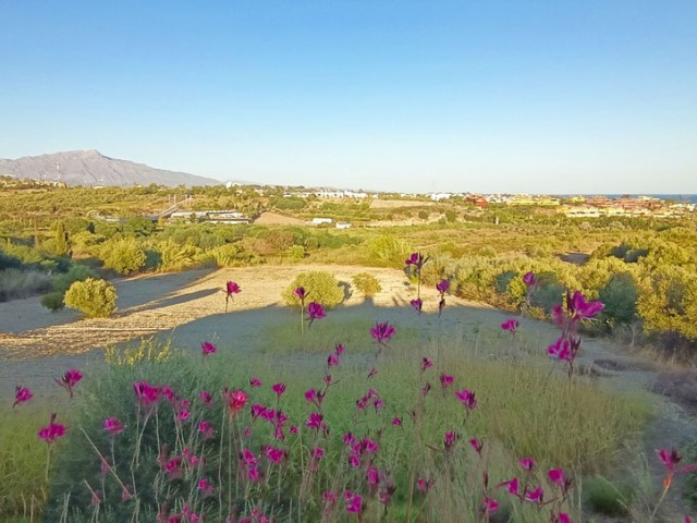  Parcelle à Cancelada