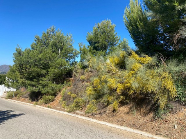 Terreno, Valtocado, R4876339