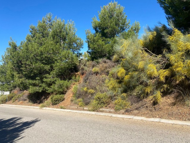 Terreno, Valtocado, R4876339