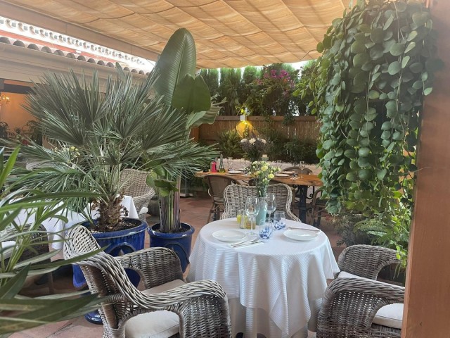 Commercial in Nueva Andalucía