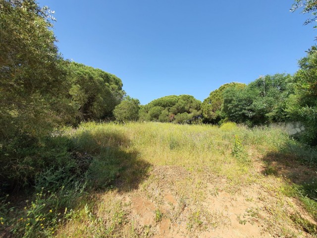  Plot in Sotogrande