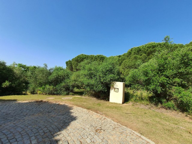  Plot in Sotogrande