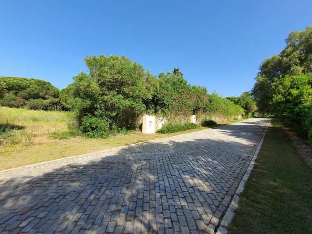  Plot in Sotogrande