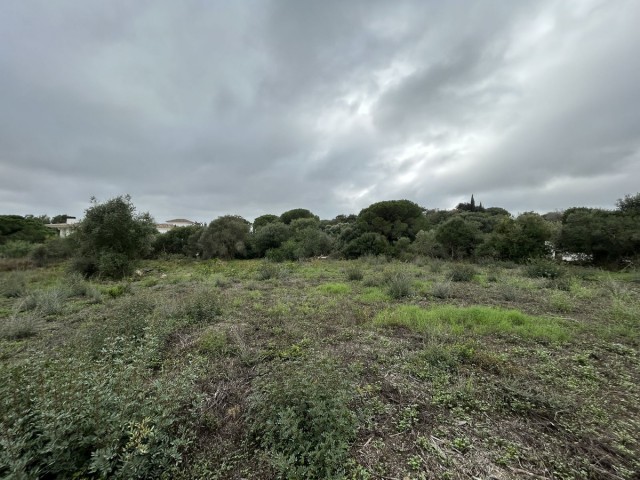 Terreno, Sotogrande Alto, R4880659