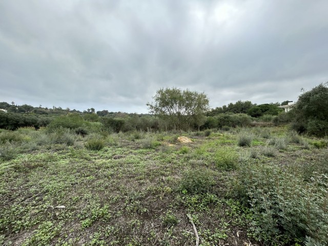 Terreno, Sotogrande Alto, R4880659
