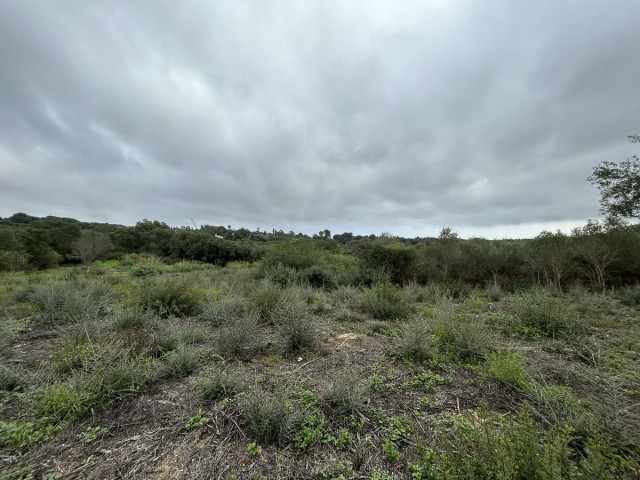 Terreno, Sotogrande Alto, R4880659