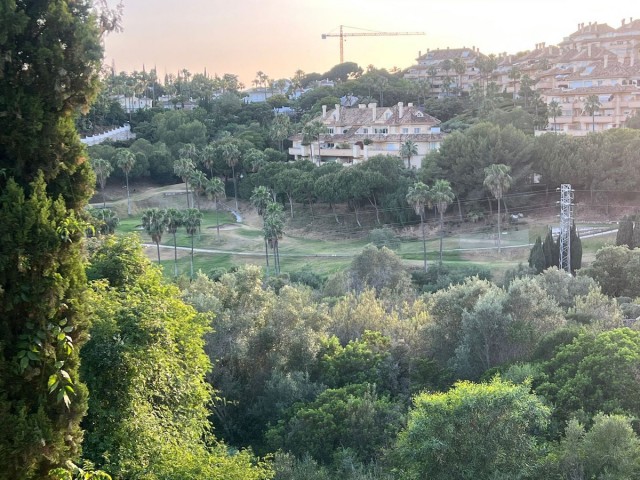 6 Bedrooms Villa in Elviria