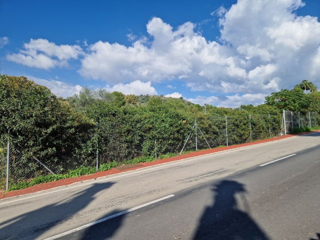  Tontti Nueva Andalucía