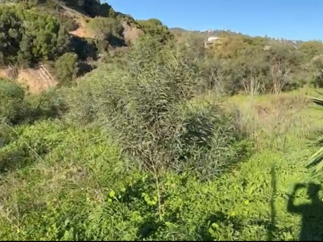  Tomt i Elviria