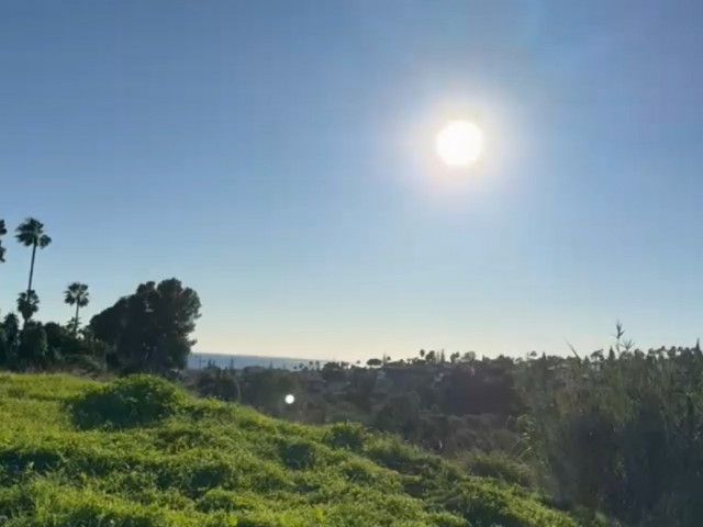  Plot in Elviria