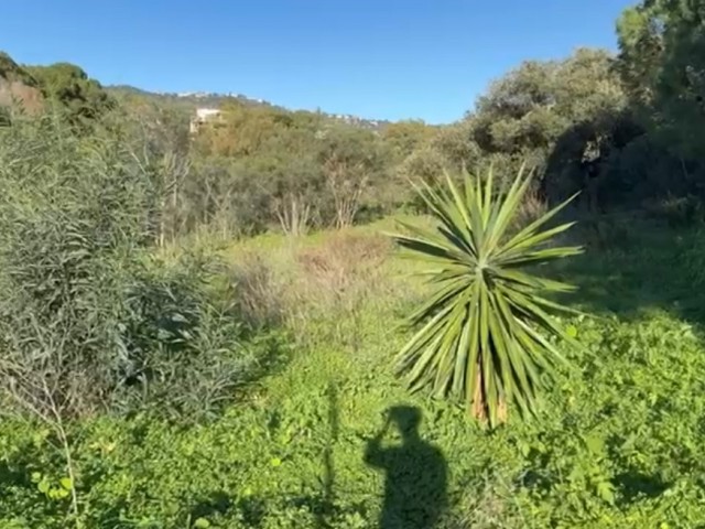  Plot in Elviria