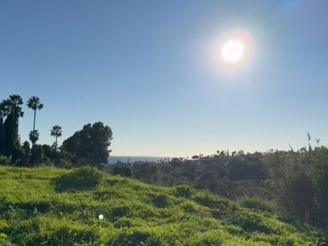  Plot in Elviria