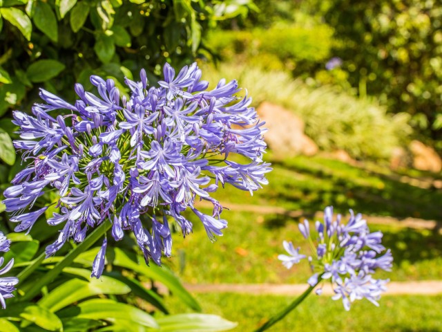 8 Slaapkamer Villa in La Zagaleta
