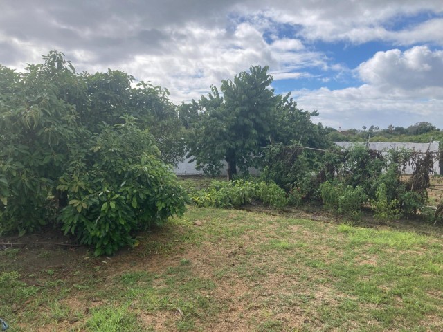 Villa avec 4 Chambres  à Selwo