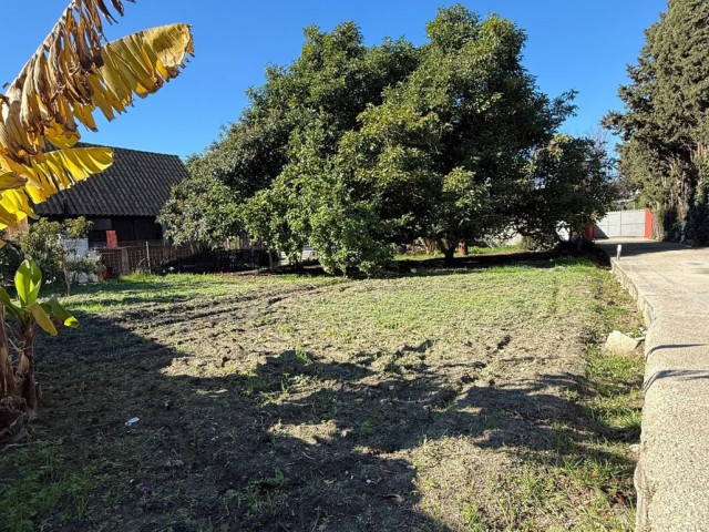  Plot in San Pedro de Alcántara