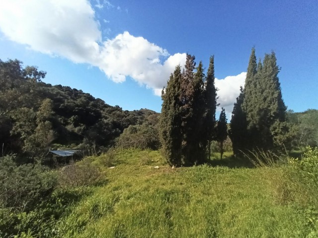3 Makuuhuoneen Huvila La Cala Golf