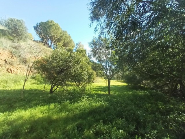 3 Makuuhuoneen Huvila La Cala Golf