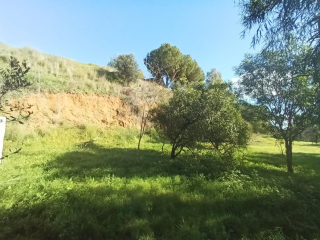 3 Makuuhuoneen Huvila La Cala Golf