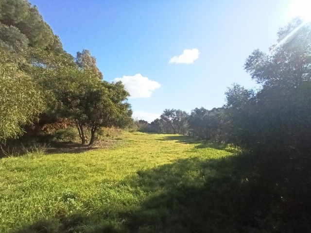 3 Makuuhuoneen Huvila La Cala Golf