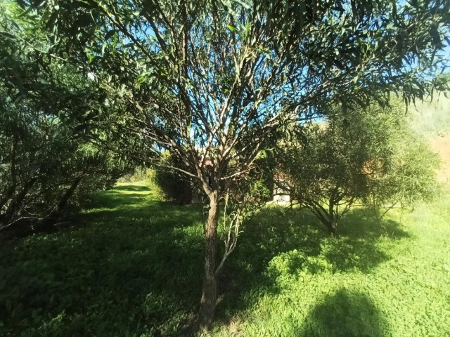 3 Makuuhuoneen Huvila La Cala Golf