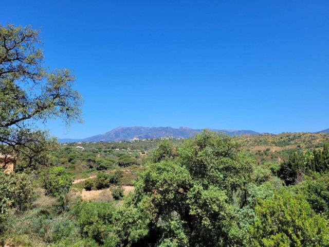  Plot in Elviria