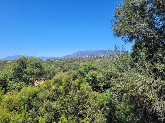  Plot in Elviria