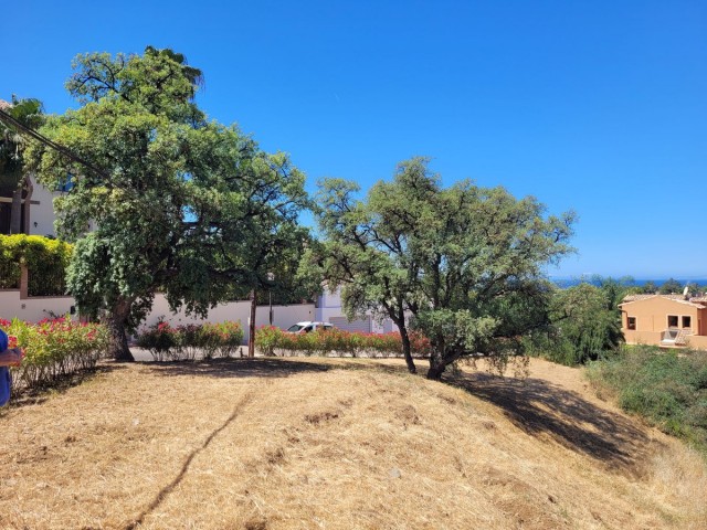  Plot in Elviria