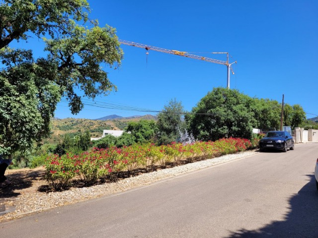  Plot in Elviria
