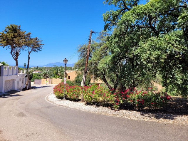  Plot in Elviria