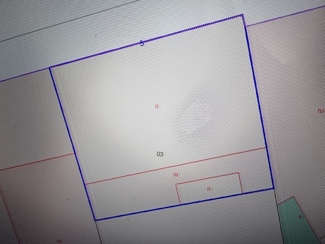 Commercial in San Pedro de Alcántara