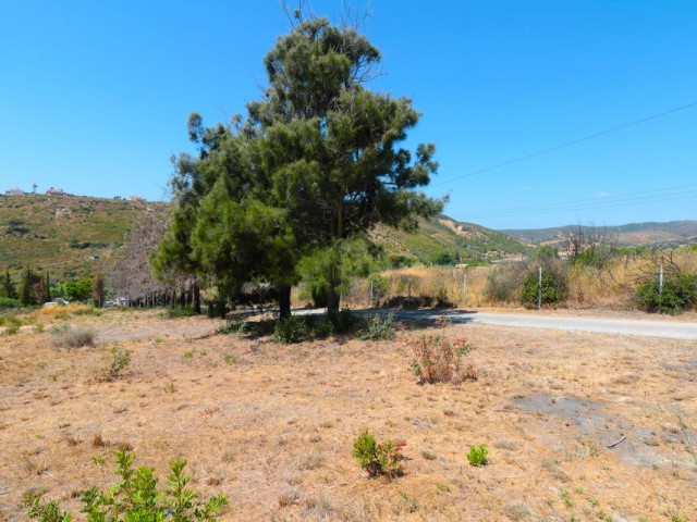  Plot in Manilva
