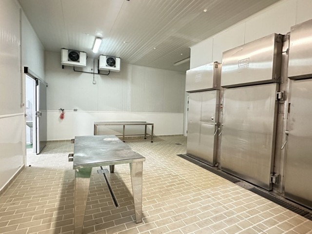 Kommerziell in Málaga